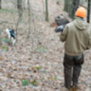 Meet your Posher, Samuel